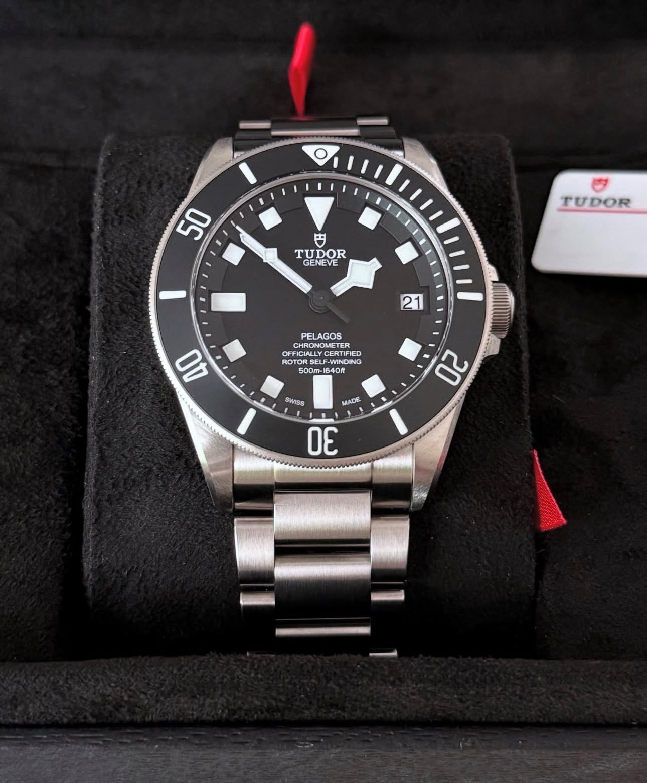 TUDOR PELAGOS