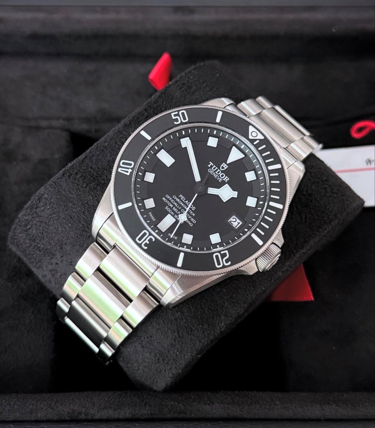 TUDOR PELAGOS - Image 3