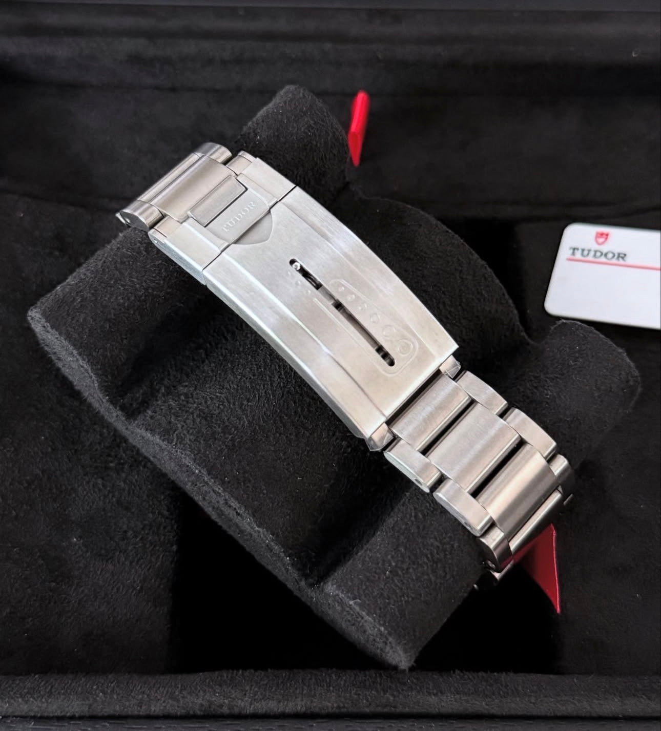 TUDOR PELAGOS - Image 2