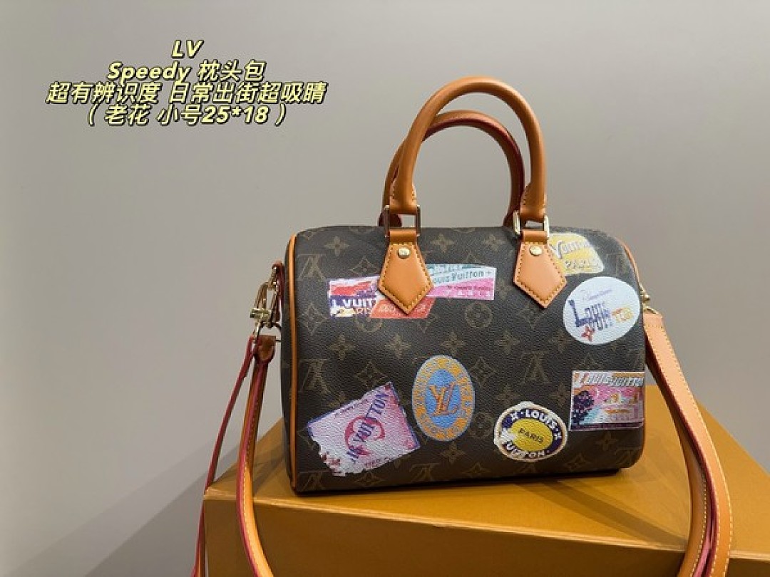 Louis Vuitton Speedy-Style Travel-Patch Bag — Brown & Multicolour - Image 5