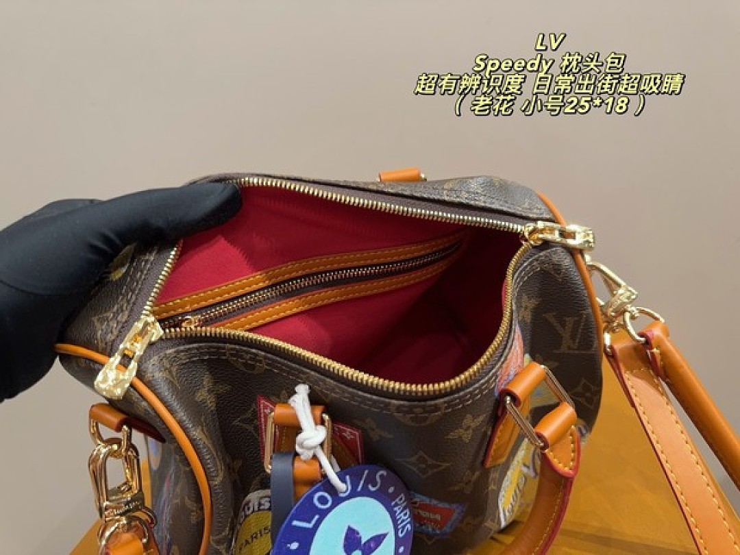 Louis Vuitton Speedy-Style Travel-Patch Bag — Brown & Multicolour - Image 9