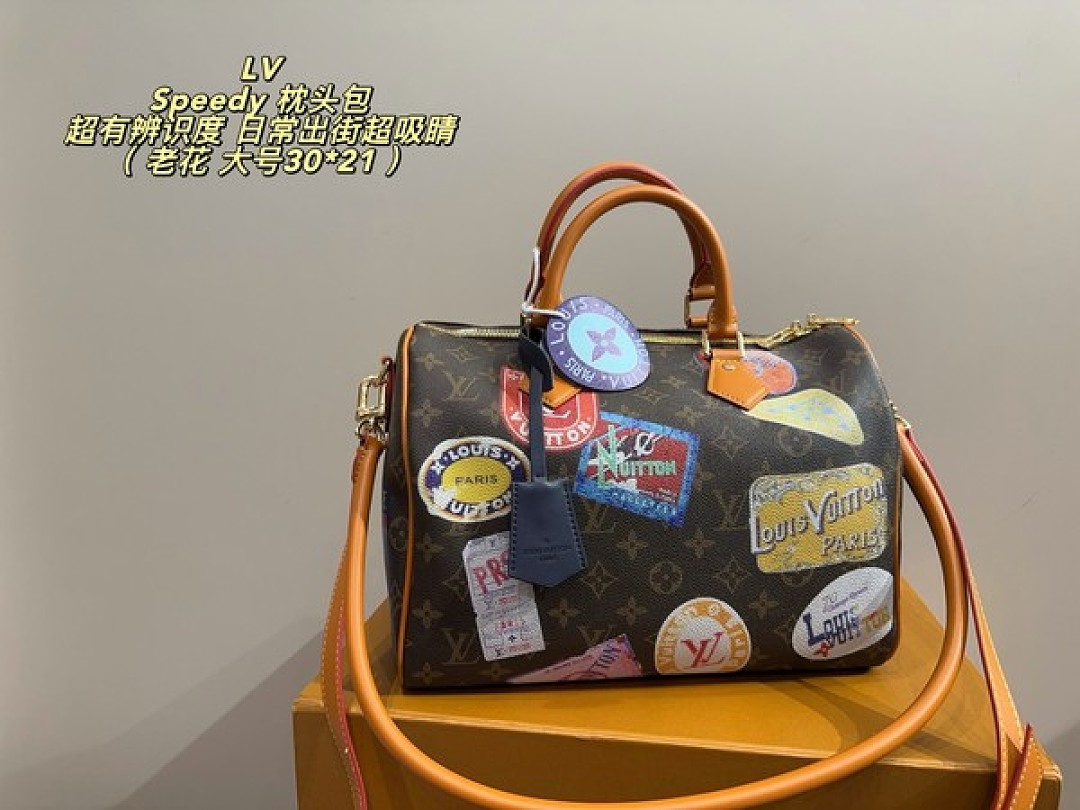 Louis Vuitton Speedy-Style Travel-Patch Bag — Brown & Multicolour - Image 2