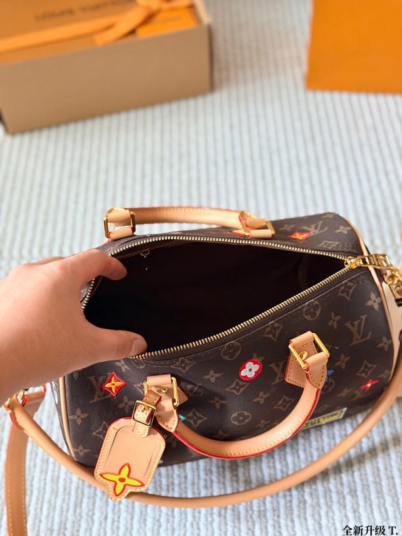 Louis Vuitton Speedy-Style Colourful Motif Monogram Bag — Brown & Multicolour - Image 9