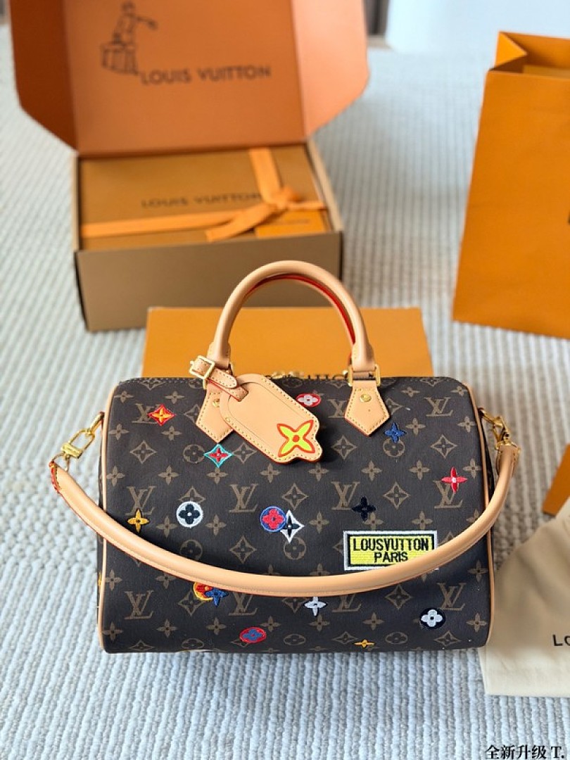 Louis Vuitton Speedy-Style Colourful Motif Monogram Bag — Brown & Multicolour - Image 2