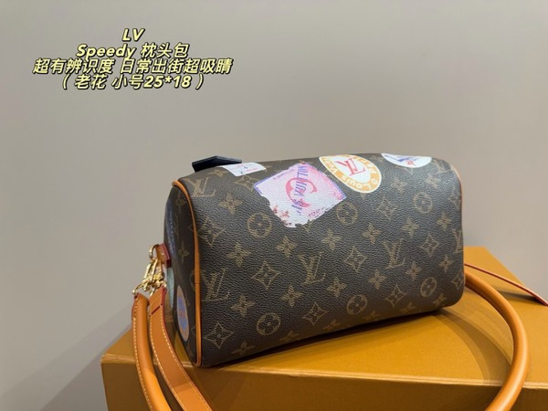 Louis Vuitton Speedy-Style Travel-Patch Bag — Brown & Multicolour - Image 7