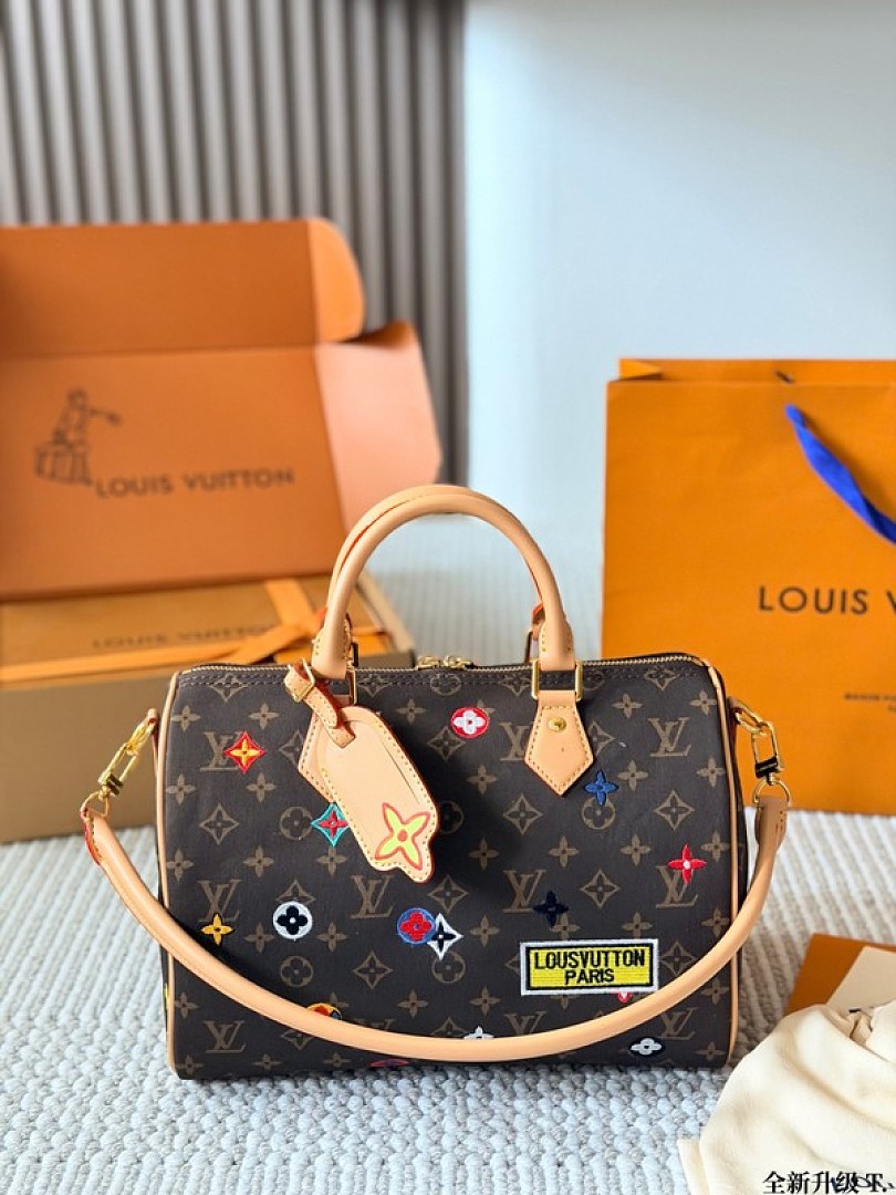Louis Vuitton Speedy-Style Colourful Motif Monogram Bag — Brown & Multicolour