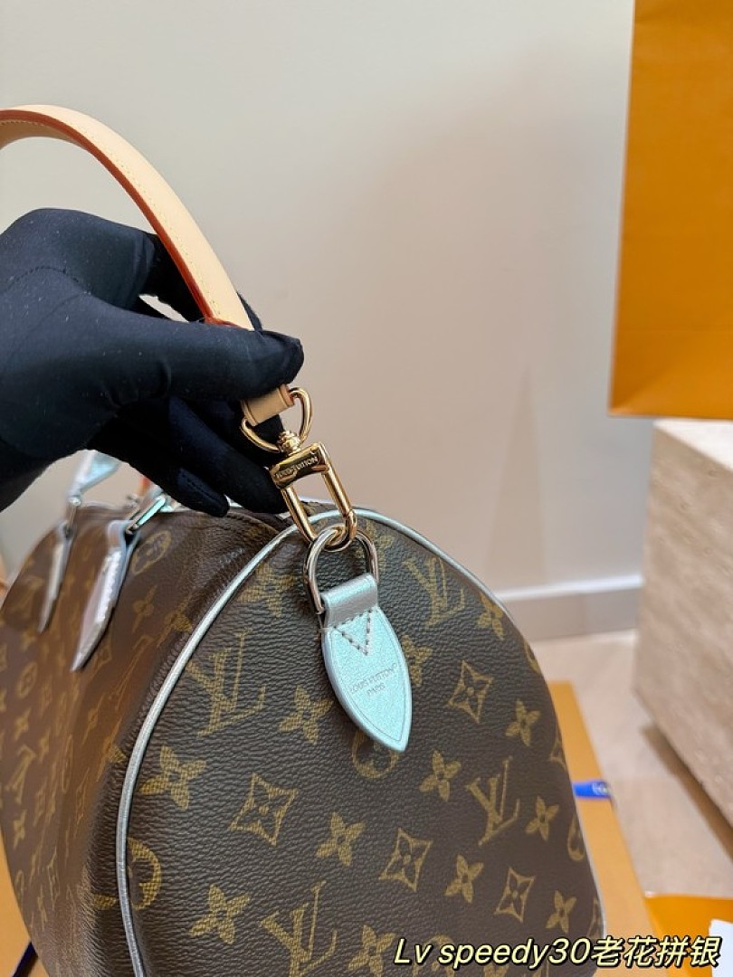 Louis Vuitton Speedy-Style Monogram Bag 30 — Brown & Pale Blue - Image 7