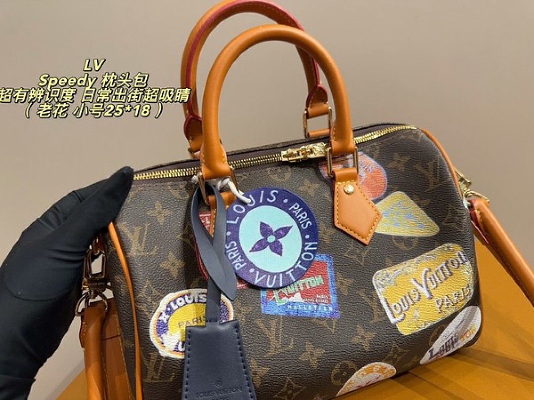 Louis Vuitton Speedy-Style Travel-Patch Bag — Brown & Multicolour - Image 8