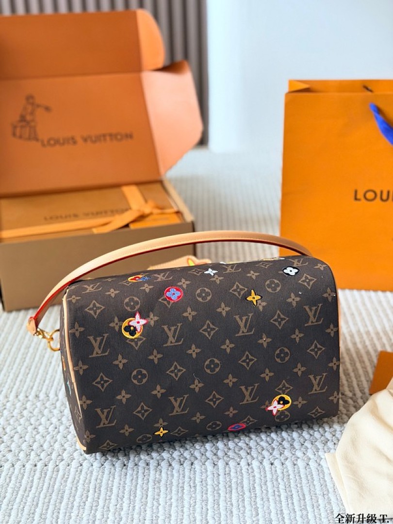 Louis Vuitton Speedy-Style Colourful Motif Monogram Bag — Brown & Multicolour - Image 6
