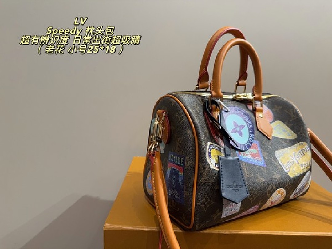 Louis Vuitton Speedy-Style Travel-Patch Bag — Brown & Multicolour - Image 4