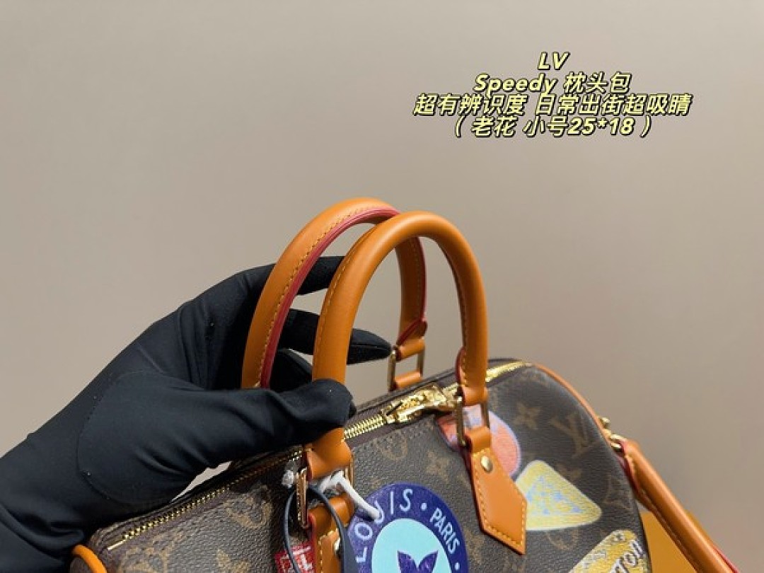Louis Vuitton Speedy-Style Travel-Patch Bag — Brown & Multicolour - Image 6