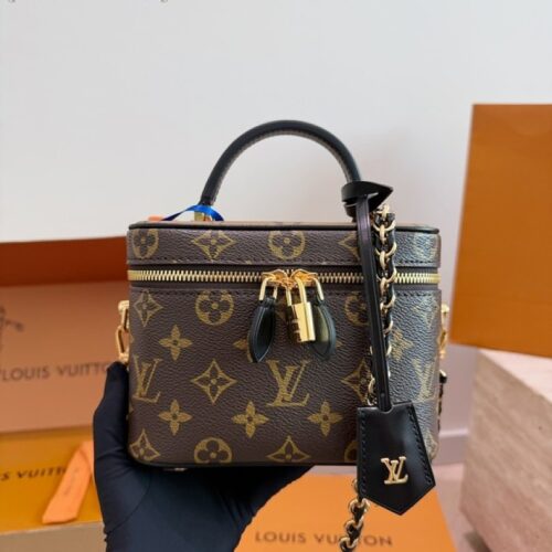 Louis Vuitton Vanity-Style Monogram Case Bag — Brown & Black, Divided Interior