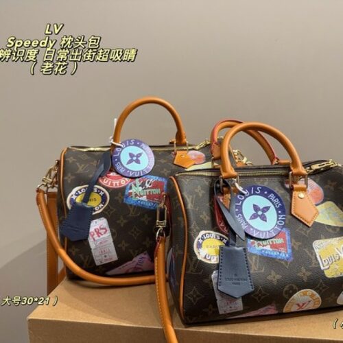 db3d2a0b08 Louis Vuitton Speedy-Style Travel-Patch Bag — Brown & Multicolour