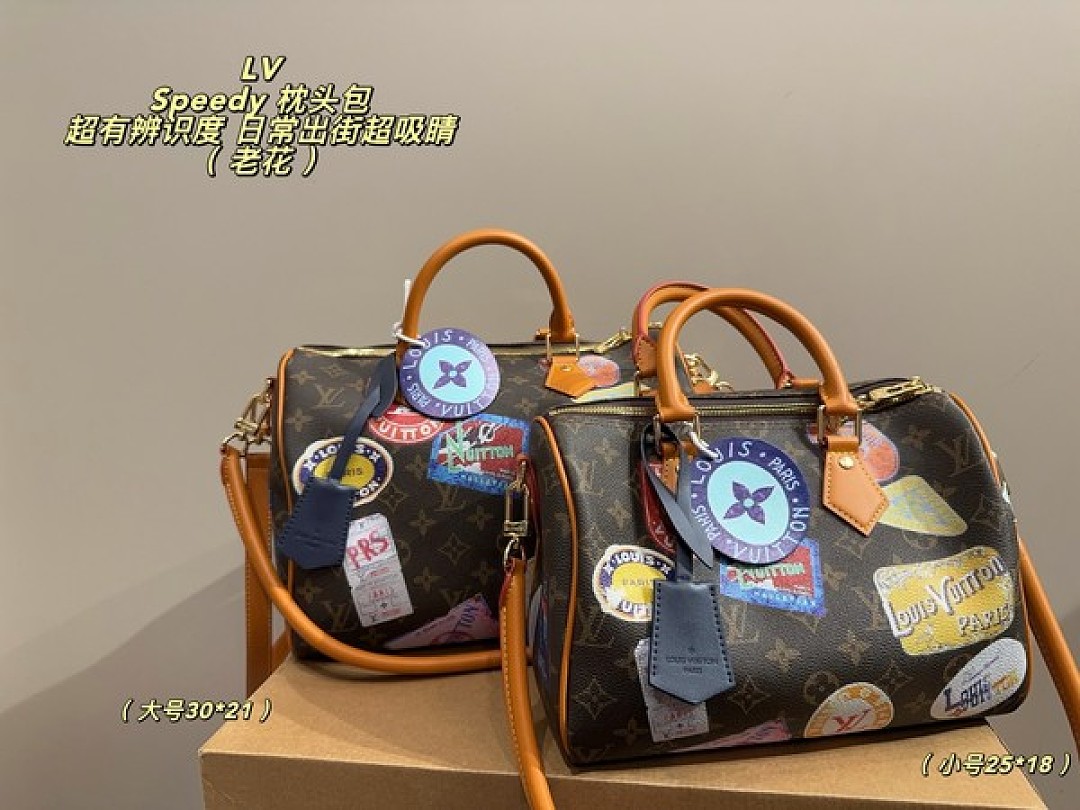 Louis Vuitton Speedy-Style Travel-Patch Bag — Brown & Multicolour