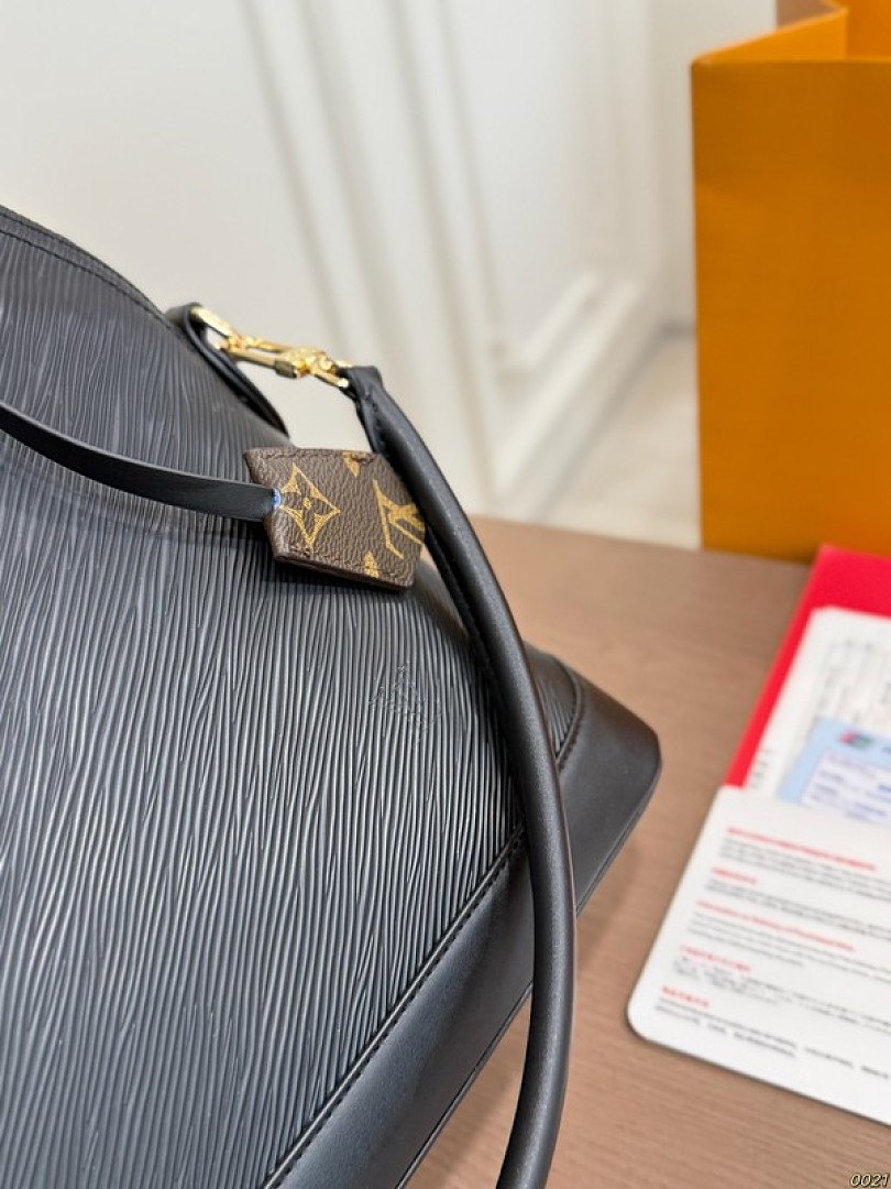 Louis Vuitton Textured Dome Bag — Black & Tan Options - Image 5