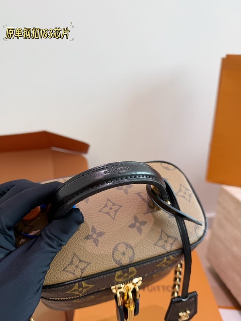 Louis Vuitton Vanity-Style Monogram Case Bag — Brown & Black, Divided Interior - Image 6