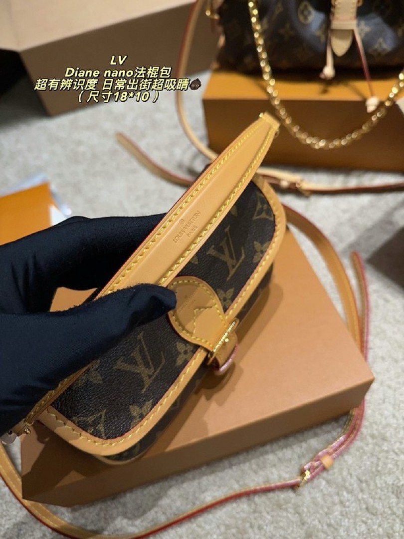 Louis Vuitton Nano Diane-Style Monogram Shoulder Bag — Brown - Image 2