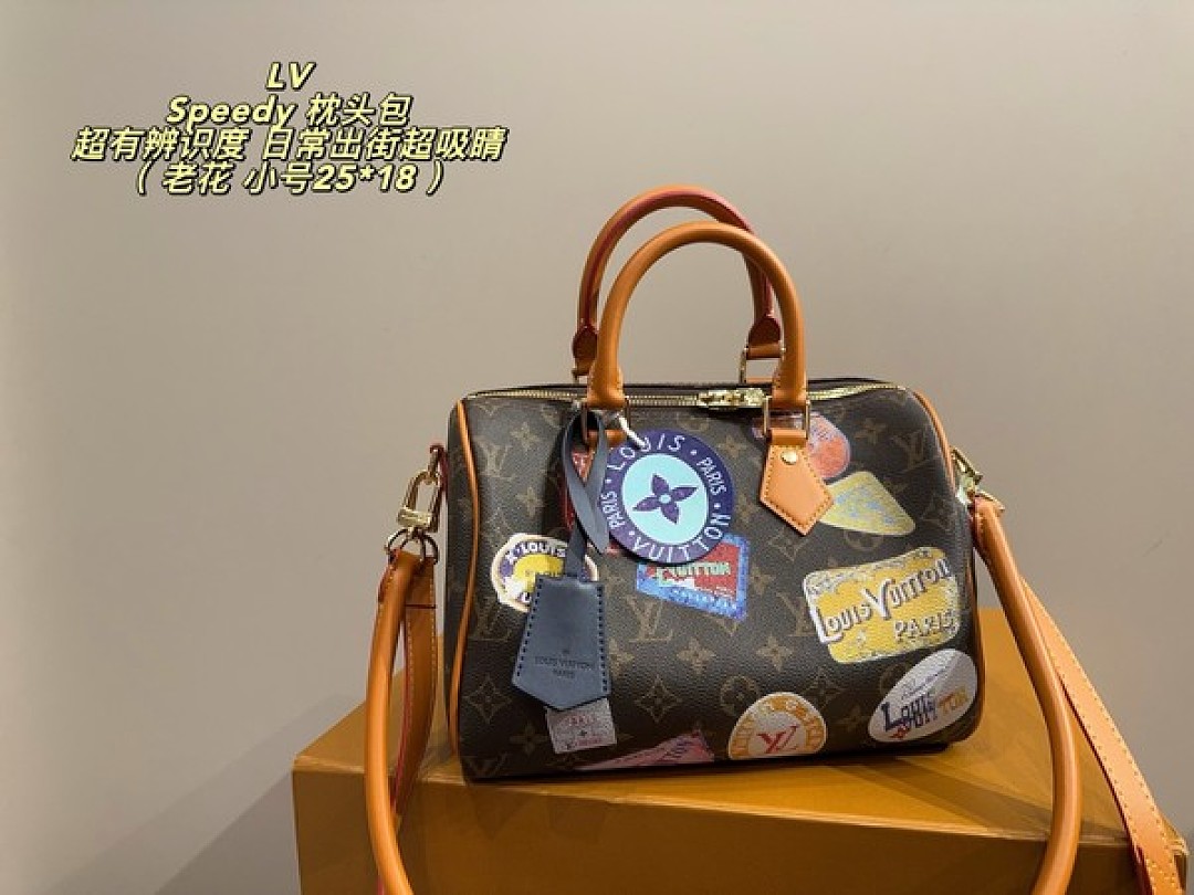 Louis Vuitton Speedy-Style Travel-Patch Bag — Brown & Multicolour - Image 3