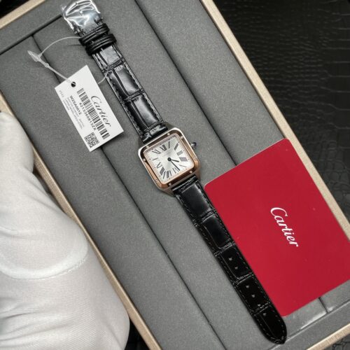 Santos Watch – IW-1654